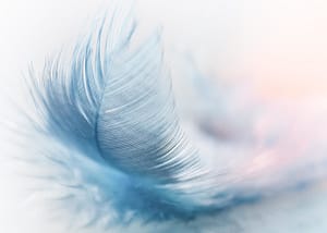 Webmaster Toulouse, Webmarketeur et référenceur SEO