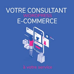 Consultant e-commerce WordPress pour la création de boutique en ligne
